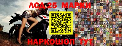 индика Моздок