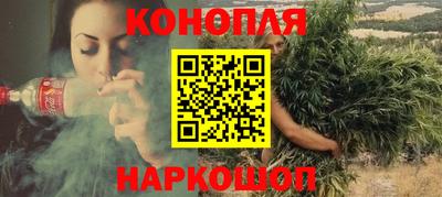 индика Моздок