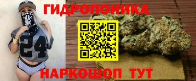 индика Моздок