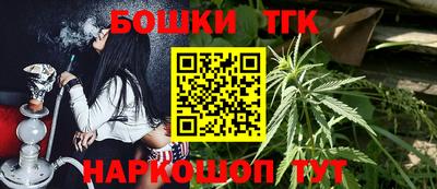 индика Моздок