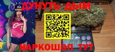 индика Моздок