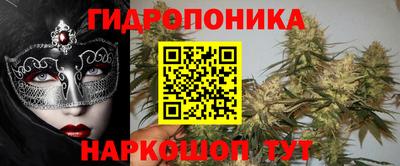 индика Моздок