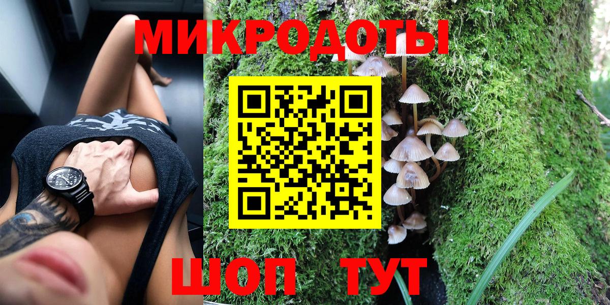 Псилоцибиновые грибы Psilocybine cubensis Юрга